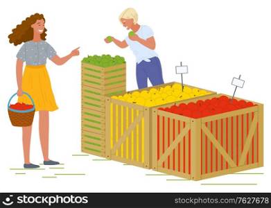 Female character vector, isolated woman with basket buying food from store. Salesperson with different kinds of apples, fruits organic production. Picking apples concept. Flat cartoon. Woman Buying Fresh Apples at Market Fair Shop