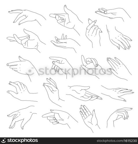 Female hands, elegant arms with wrists and fingers. Isolated woman body part, pointing fingers and gesture. Nonverbal language. Line art of signals and gesturing expression. Vector in flat style. Elegant and tender hands with fingers, vector