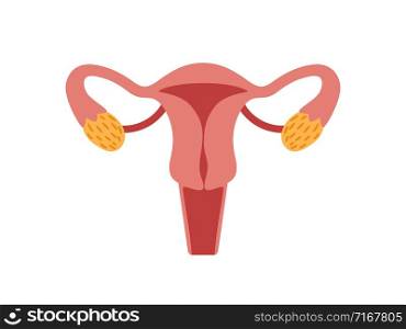 Female reproductive system for childbearing. Anatomy human woman, uterus and gynecology. Vector illustration. Female reproductive system for childbearing. Vector illustration