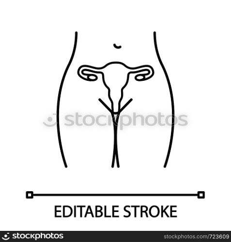 Female reproductive system linear icon. Thin line illustration. Uterus, fallopian tubes and vagina. Women's health. Thin line illustration. Gynecology. Vector isolated outline drawing. Editable stroke. Female reproductive system linear icon