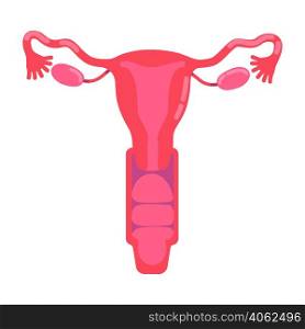 Female reproductive system semi flat color vector object. Fallopian tubes. Human organ anatomy. Full sized item on white. Simple cartoon style illustration for web graphic design and animation. Female reproductive system semi flat color vector object