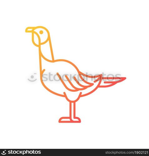 Female turkey gradient linear vector icon. Poultry farming. Domestic bird growing for meat. Thanksgiving dinner. Thin line color symbol. Modern style pictogram. Vector isolated outline drawing. Female turkey gradient linear vector icon