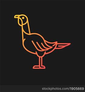 Female turkey gradient vector icon for dark theme. Domestic bird growing for meat. Thanksgiving dinner with turkey. Thin line color symbol. Modern style pictogram. Vector isolated outline drawing. Female turkey gradient vector icon for dark theme