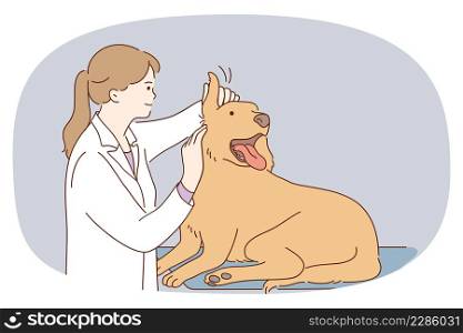 Female vet doctor examine dog in clinic or hospital. Caring veterinary nurse checkup big puppy at appointment. Domestic animal or pet examination. Healthcare. Vector illustration. . Female vet examine big dog in clinic