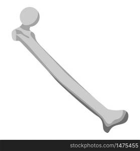 Femur bone icon. Isometric of femur bone vector icon for web design isolated on white background. Femur bone icon, isometric style