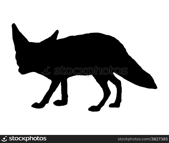 Fennec fox silhouette