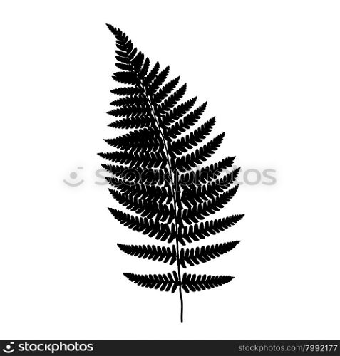 Fern frond balck silhouette. Fern frond black silhouette. Vector illustration. Forest concept.