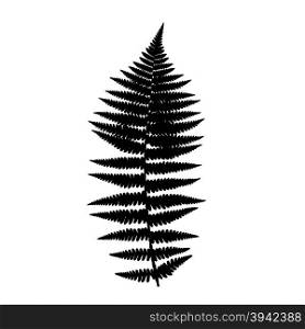 Fern frond black silhouette. Vector illustration. Forest concept.