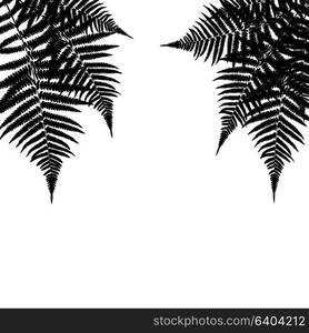 Fern Leaf Vector Background Illustration EPS10. Fern Leaf Vector Background Illustration