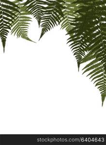 Fern Leaf Vector on White Background Illustration EPS10. Fern Leaf Vector Background Illustration