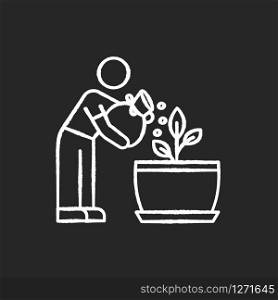 Fertilizing seedling chalk white icon on black background. Feeding sapling. Plant growing, planting process. Indoor gardening. Growth supplements, amendments. Isolated vector chalkboard illustration