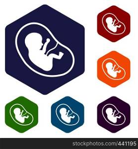 Fetus icons set hexagon isolated vector illustration. Fetus icons set hexagon