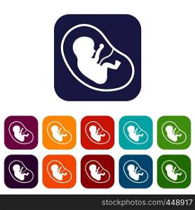 Fetus icons set vector illustration in flat style In colors red, blue, green and other. Fetus icons set flat