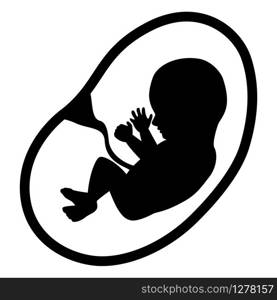 Fetus Isolated on White Background
