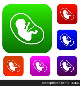 Fetus set icon color in flat style isolated on white. Collection sings vector illustration. Fetus set color collection