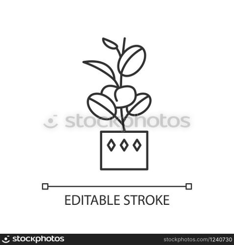 Ficus elastica pixel perfect linear icon. Rubber fig. Indian tree. Potted plant with oval leaves. Thin line customizable illustration. Contour symbol. Vector isolated outline drawing. Editable stroke