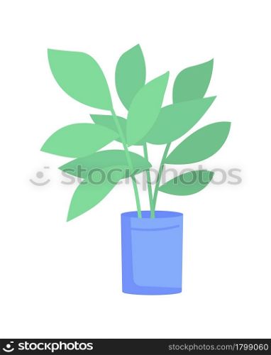 Ficus elastica plant in blue pot semi flat color vector object. Full sized item on white. Rubber tree houseplant isolated modern cartoon style illustration for graphic design and animation. Ficus elastica plant in blue pot semi flat color vector object