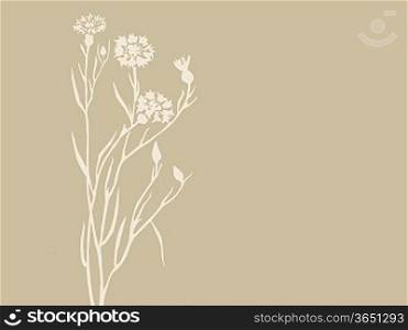 field flower on brown background, vector illustration