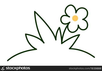 Field flower sketch. Chamomile in green grass isolated on white background. Field flower sketch. Chamomile in green grass