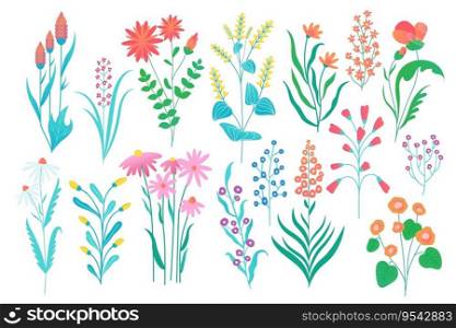 Field flowers collection. Summer and autumn flora, cartoon floral garden abstract image with flowers shrubs and plants. Vector isolated set. Fresh organic blossom or bloom elements. Field flowers collection. Summer and autumn flora, cartoon floral garden abstract image with flowers shrubs and plants. Vector isolated set