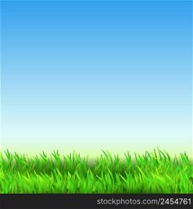 Field Green Grass Countryside Landscape Vector. Field Nature With Growing Fresh Plant And Blue Clean Sky. Park Lawn Or Agricultural Farm Meadow Land Template Realistic 3d Illustration. Field Green Grass Countryside Landscape Vector