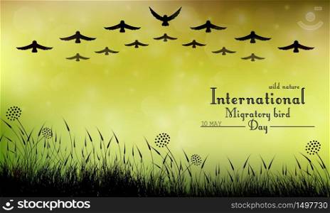 Field of grass and flying birds on bokeh background.Vector