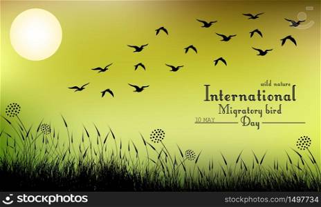 Field of grass and flying birds on night background.Vector