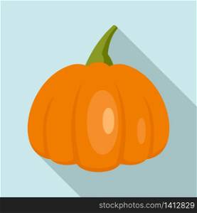 Field pumpkin icon. Flat illustration of field pumpkin vector icon for web design. Field pumpkin icon, flat style
