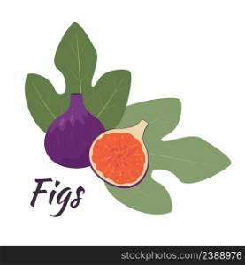 Fig fruits on white background vector illustration. Figs whole and cut in half with leaves. Exotic fruits isolated object