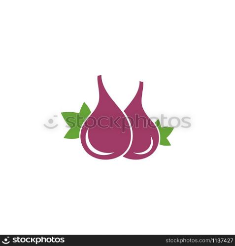 Fig. Vector illustration. Tropical fruit with fig leaf icon illustration design
