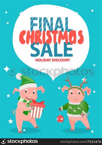 Final Christmas sale holiday discount, pigs on blue with snowflakes wishes. Piglet in warm winter hat, sweater and scarf, gift box and New Year ball. Final Christmas Sale Holiday Discount with Pigs