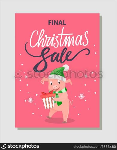 Final Christmas sale poster with happy pig holding gift box package vector leaflet. Pink pig in green hat and scarf, New year symbol vector discounts. Final Christmas Sale Poster Happy Pig Holding Gift