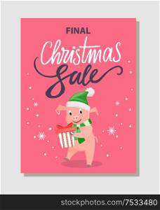 Final Christmas sale poster with happy pig holding gift box package vector leaflet. Pink pig in green hat and scarf, New year symbol vector discounts. Final Christmas Sale Poster Happy Pig Holding Gift