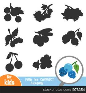 Find the correct shadow, education game for children, Blueberries