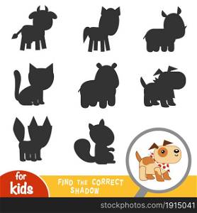 Find the correct shadow, education game for children, Dog