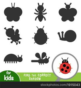 Find the correct shadow, education game for children, Ladybug