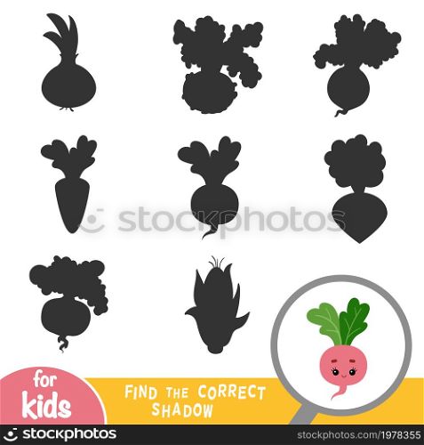 Find the correct shadow, education game for children, Radish