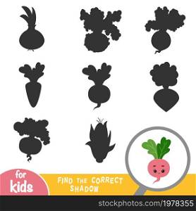 Find the correct shadow, education game for children, Radish