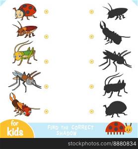 Find the correct shadow, education game for children, set of insects
