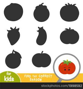 Find the correct shadow, education game for children, Tomato