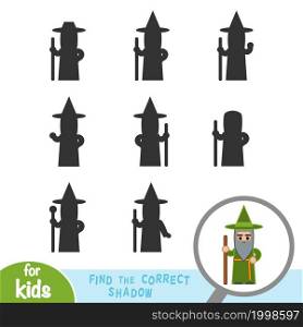 Find the correct shadow, education game for children, Wizard
