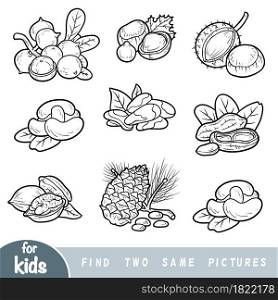 Find two the same pictures, education game for children. Black and white set of nuts