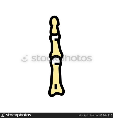 finger bone color icon vector. finger bone sign. isolated symbol illustration. finger bone color icon vector illustration