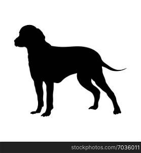 Finnish Hound Dog Silhouette. Smooth Vector Illustration.