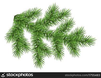 Fir branch isolated on white background. Green spruce. Realistic Christmas tree. Vector illustration for Xmas cards, banners, flyers, New year party posters.