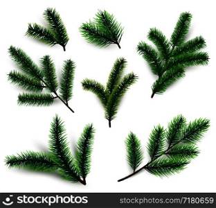 Fir branches. Christmas tree branching isolated. 3d realistic conifer branch set for winter holiday decoration. Vector collection. Illustration of evergreen twig, tree fir flora lush branch. Fir branches. Christmas tree branching isolated. 3d realistic conifer branch set for winter holiday decoration. Vector collection