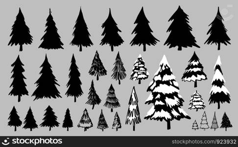 Fir or pine trees on white background vector illustration