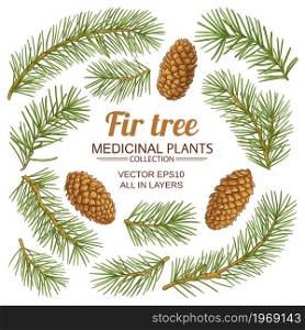 fir tree branches elements vector set on white background. fir tree elements vector set on white background