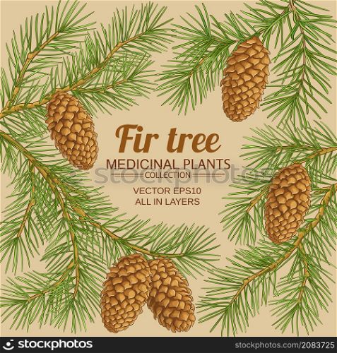fir tree branches vector frame on color background. fir tree vector frame