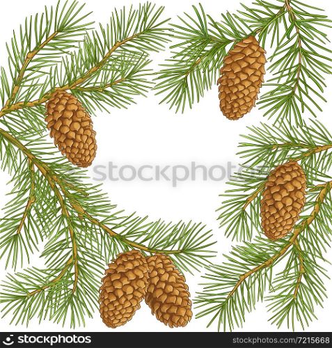 fir tree branches vector frame on white background. fir tree vector frame on white background